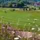 Golfpark Bella Vista in Bad Birnbach